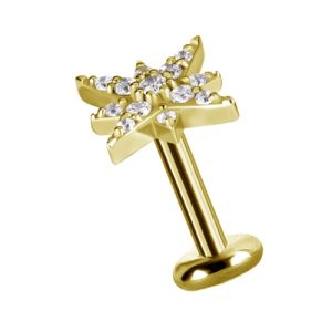 gold plated titanium internally threaded labret with jewelled crystal star attachment piercing jewelry