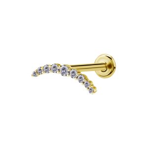 gold plated titanium internally threaded labret with jewelled crystal cluster attachment piercing jewelry