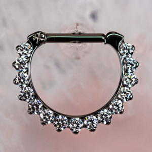 industrial strength titanium hinged clicker ring odyssey 5 jewelled crystal gem prong set piercing jewelry