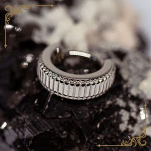 tether steel double eclipso hinged clicker ring piercing jewelry