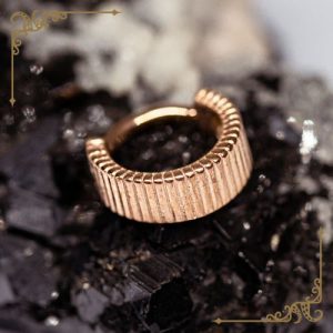 tether rose gold steel eclipso hinged clicker ring piercing jewelry