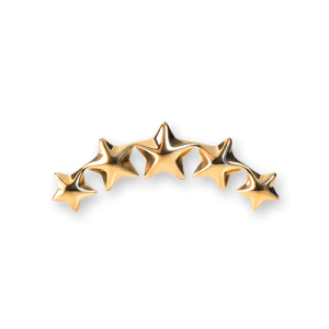 gold plated titanium attachment piercing internally threaded starline cluster